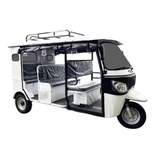 Compact City Electric Auto