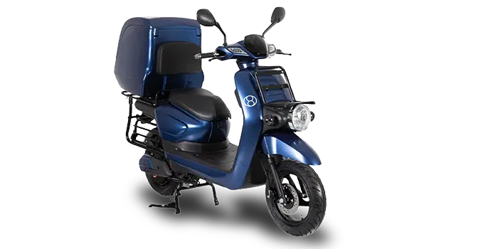 Electric Delivery Scooters