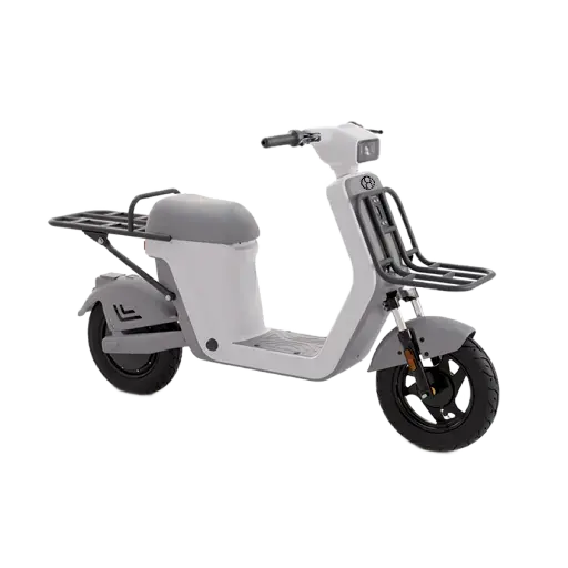 Future Drive Electric Scooter